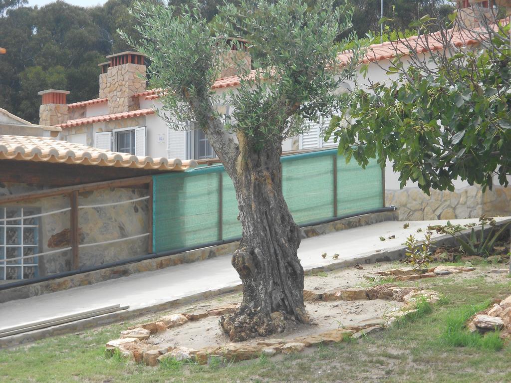 Monte Chabouco - Alojamento Local Εξωτερικό φωτογραφία